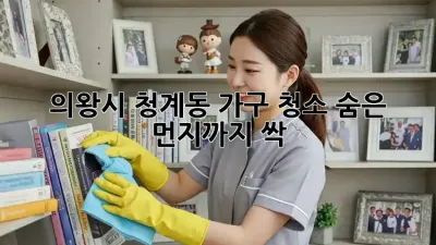 의왕시 청계동 가구 청소: 숨은 먼지까지 싹!