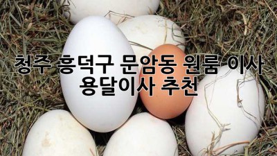 청주 흥덕구 문암동 원룸 이사? 용달이사 추천!